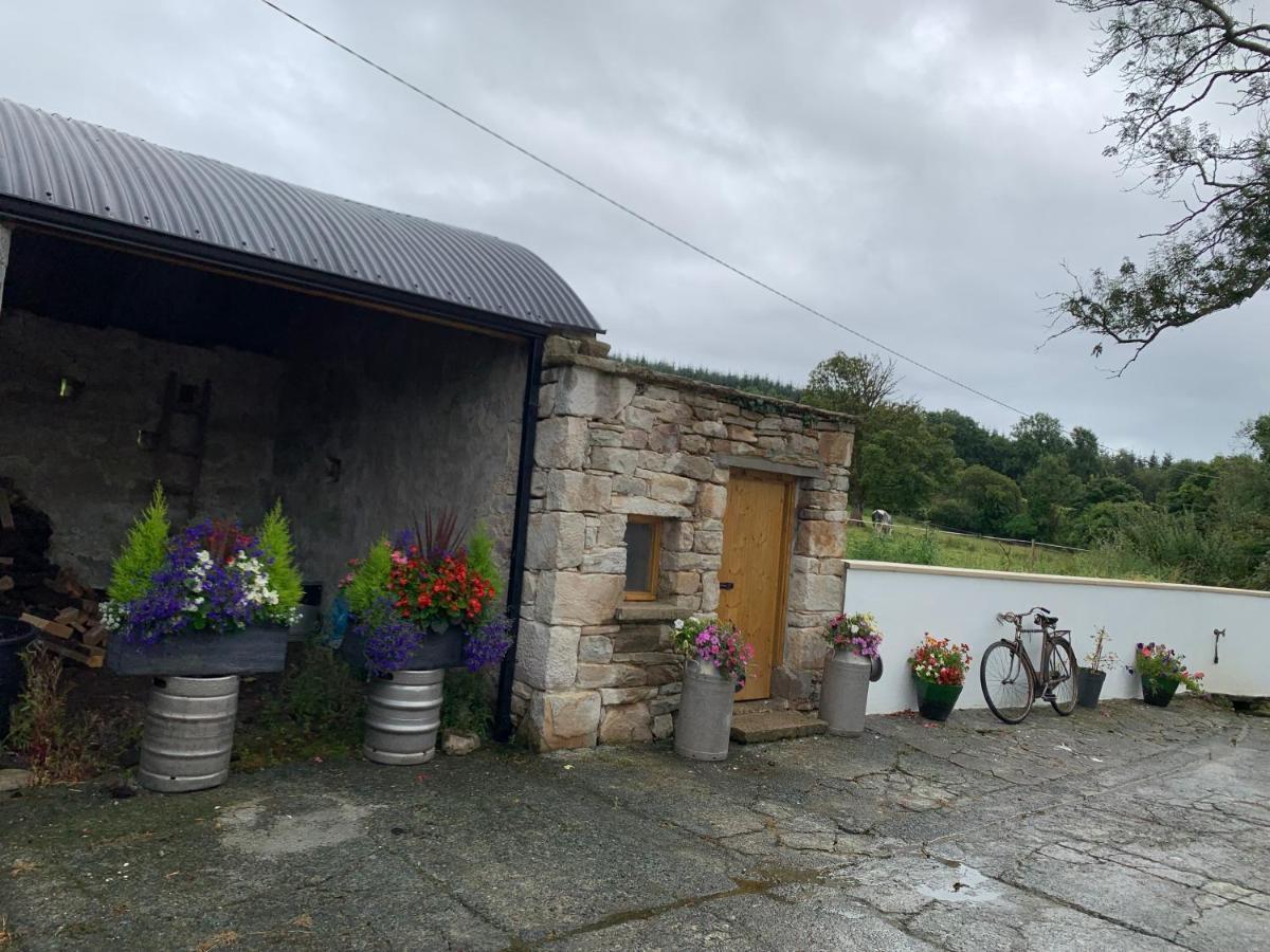 Toms Ferienhaus Longford